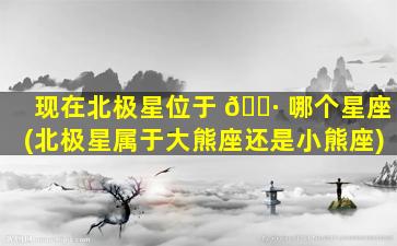 现在北极星位于 🌷 哪个星座(北极星属于大熊座还是小熊座)